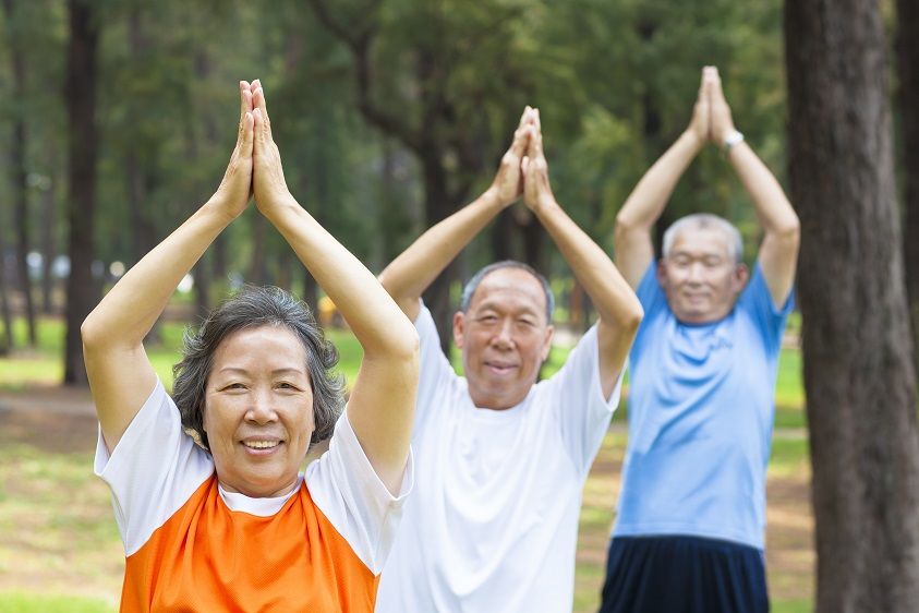 A group of senior citizens doing Tai Chi at the park