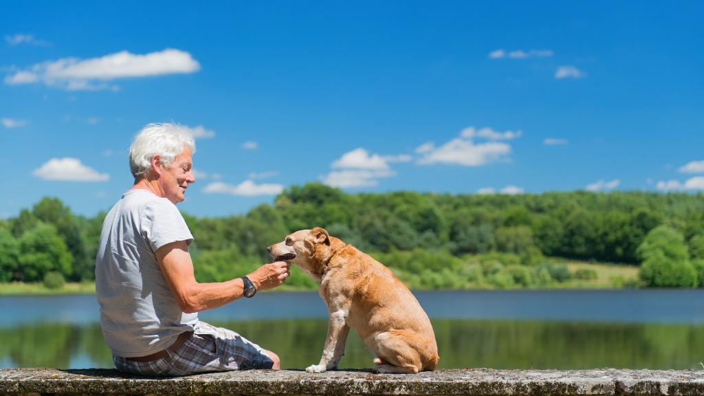 Man petting his dog by the lake