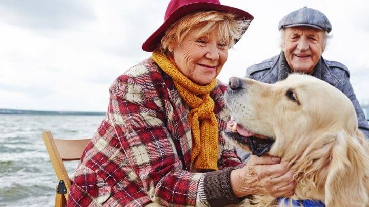 An elderly couple petting their dog near the sea