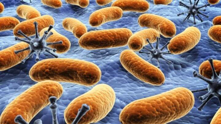 Illustration of bacteria on a kitchen sponge surface