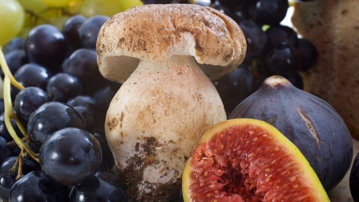 Mushroom, fig and grapes