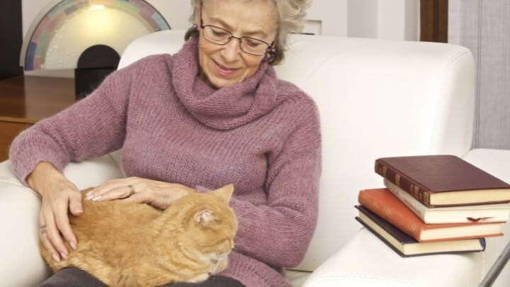 A woman relaxing with her cat on her lap