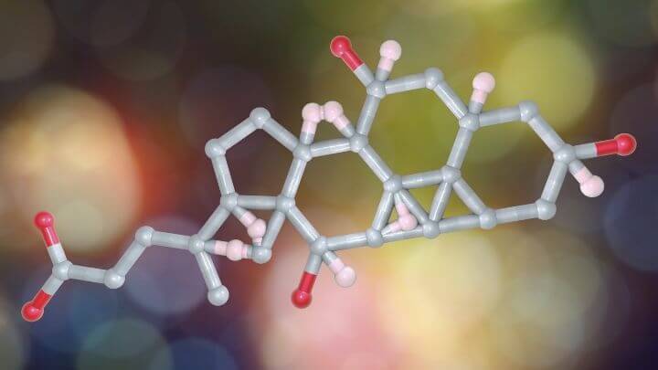 3D illustration of cholic acid molecule.