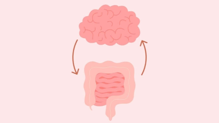 Gut-brain connection