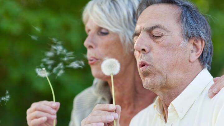 A senior couple blowing on dandelions