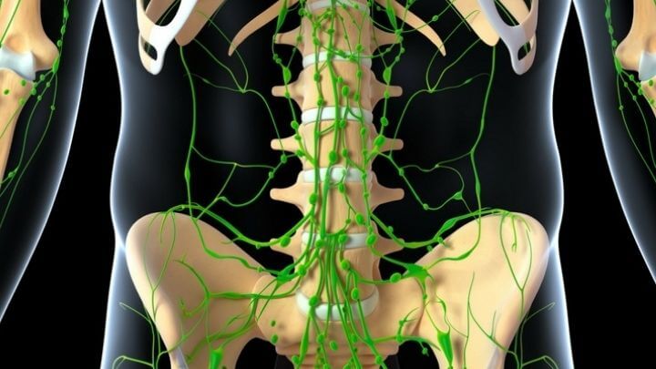 3D anatomy of lymphatic system