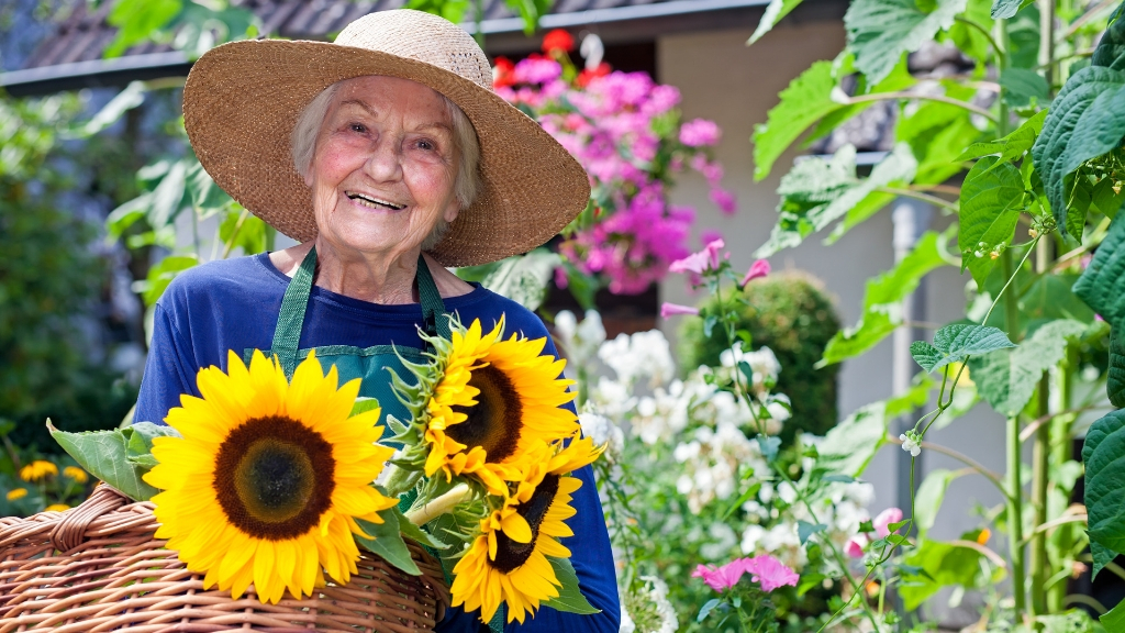 A smiling elderly woman in her garden, holding a basket of sunflowers.