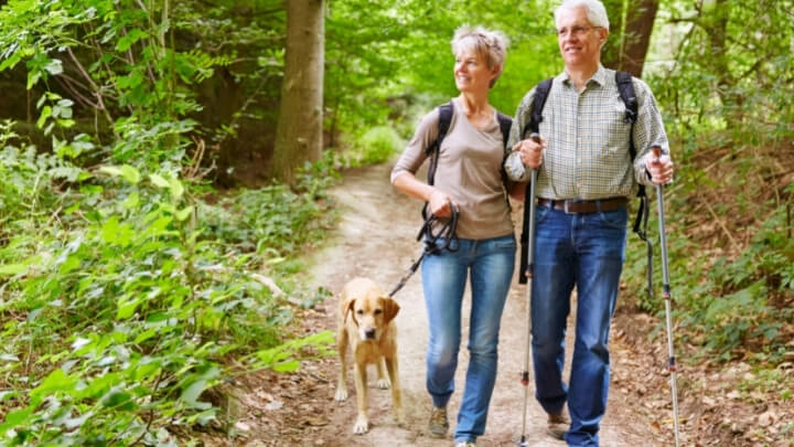 A couple walking their dog in the woods