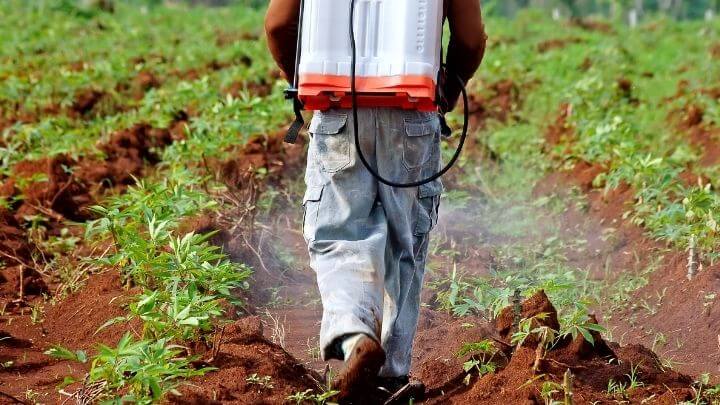 A man spraying pesticide in a field