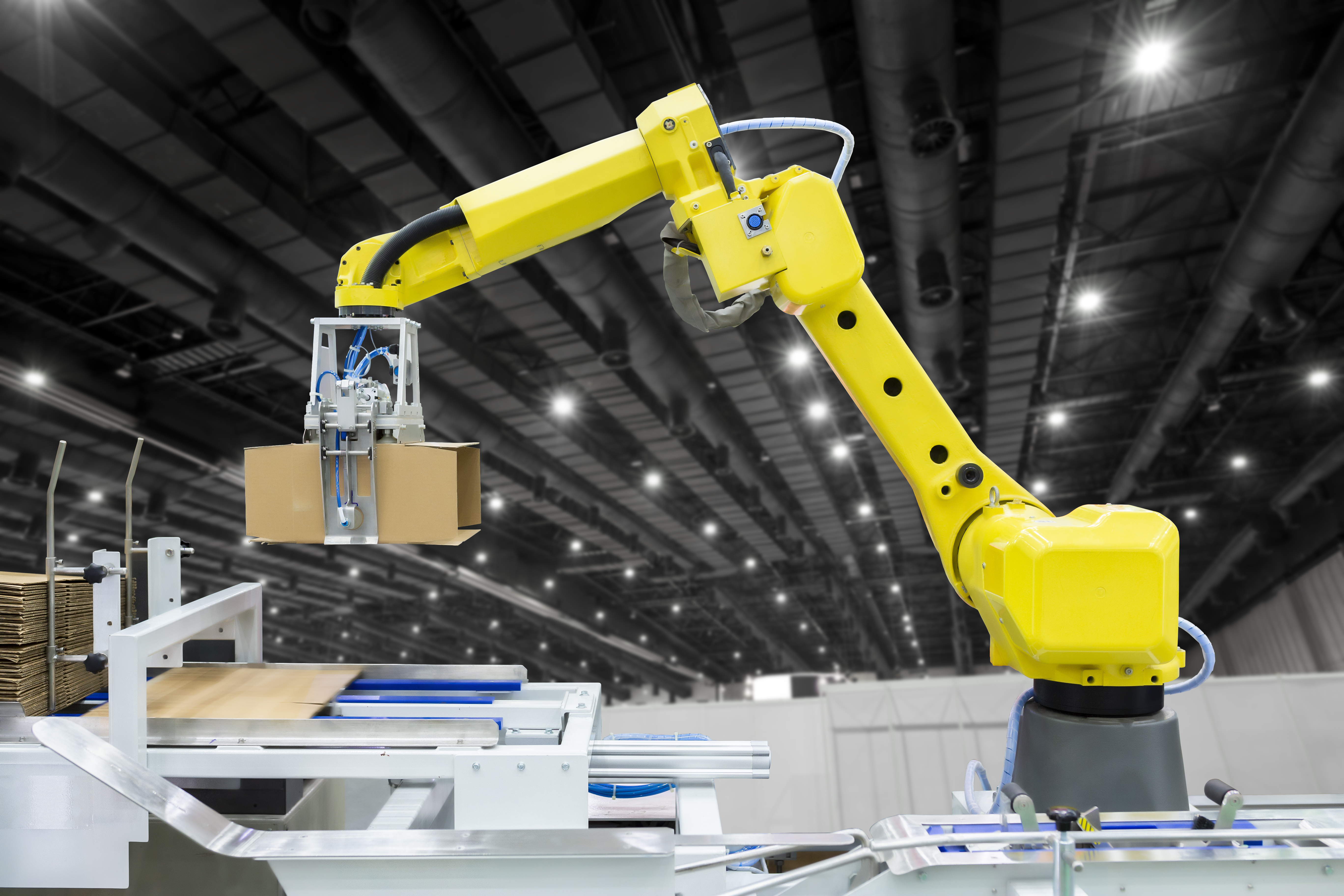 Safety guarding on high-speed packaging line with conveyors and robotic packer