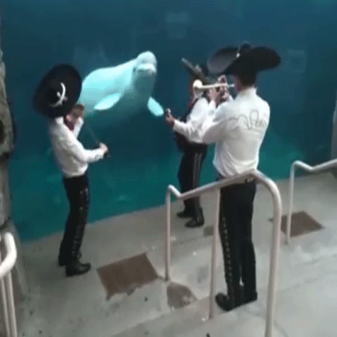 I Love You (Don't Laugh)