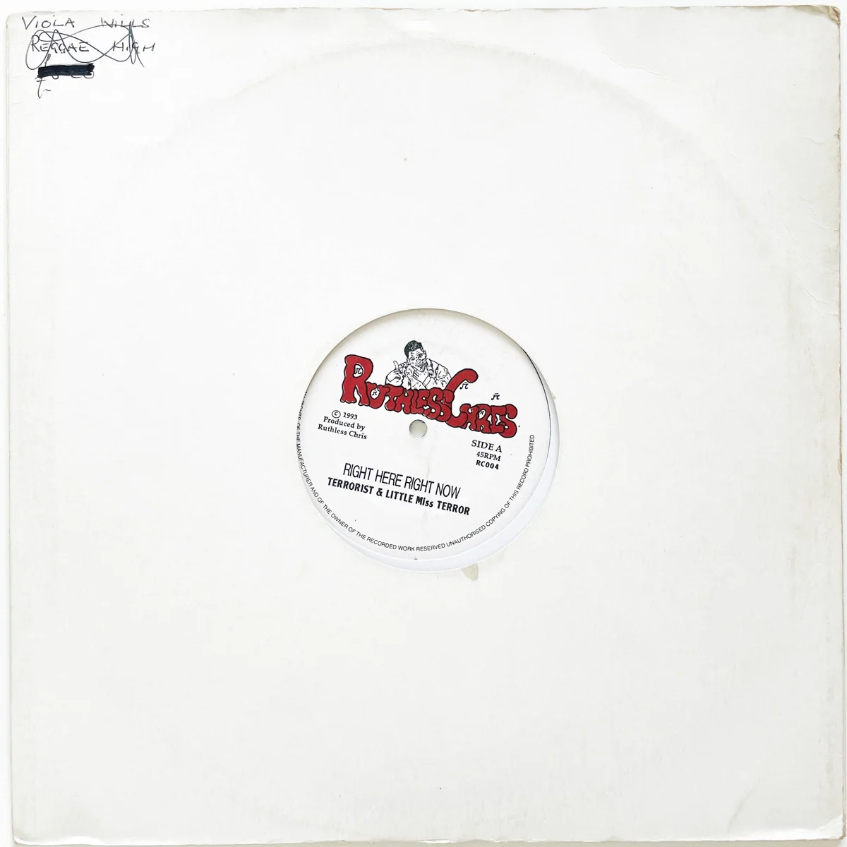 terrorist-right-here-right-now image