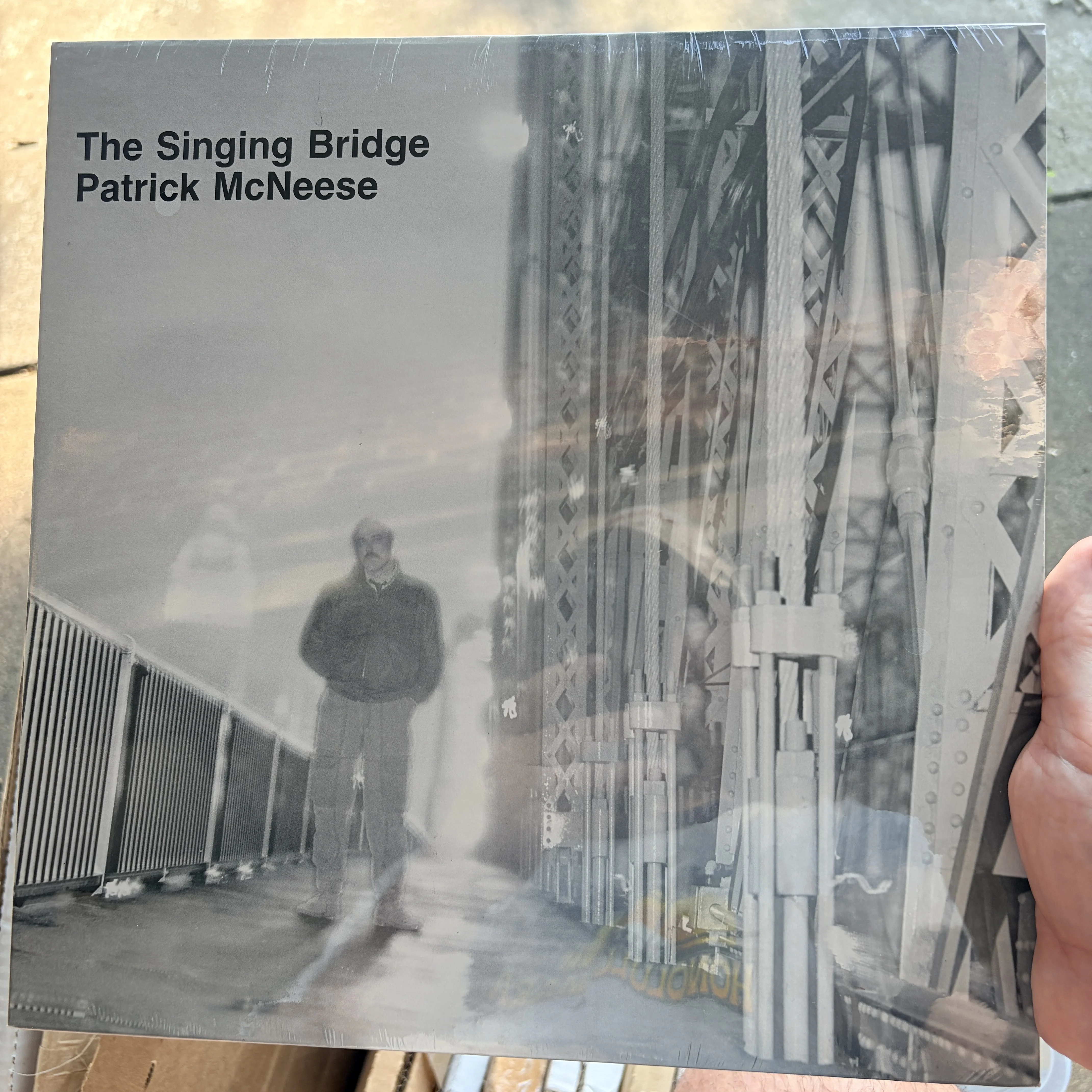 patrick-mcneese-the-singing-bridge image