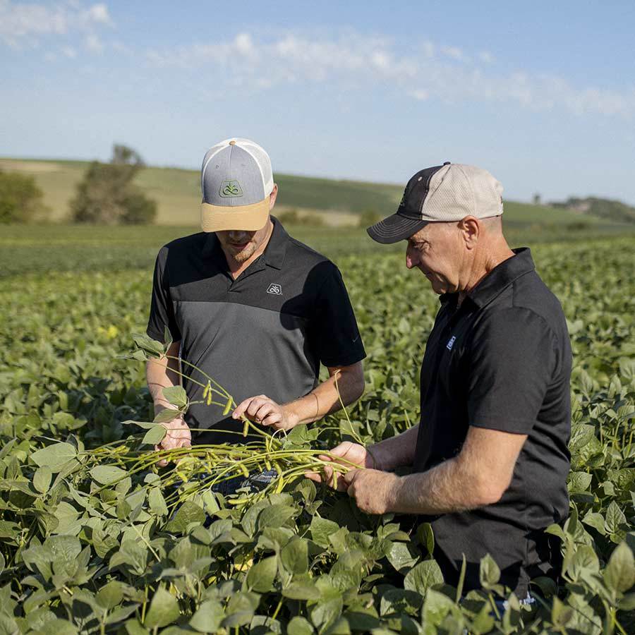 Crop Scouting 900x900 20220902 COR Soybean Manilla Iowa 0070