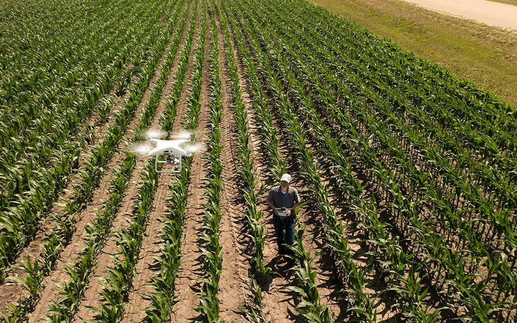 Drone 1042x651 20220623 COR Corn Monroe Nebraska 0598