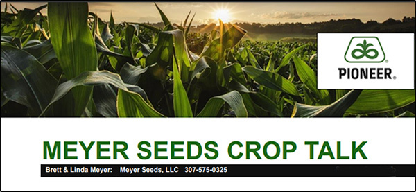 Crop Talk Header border