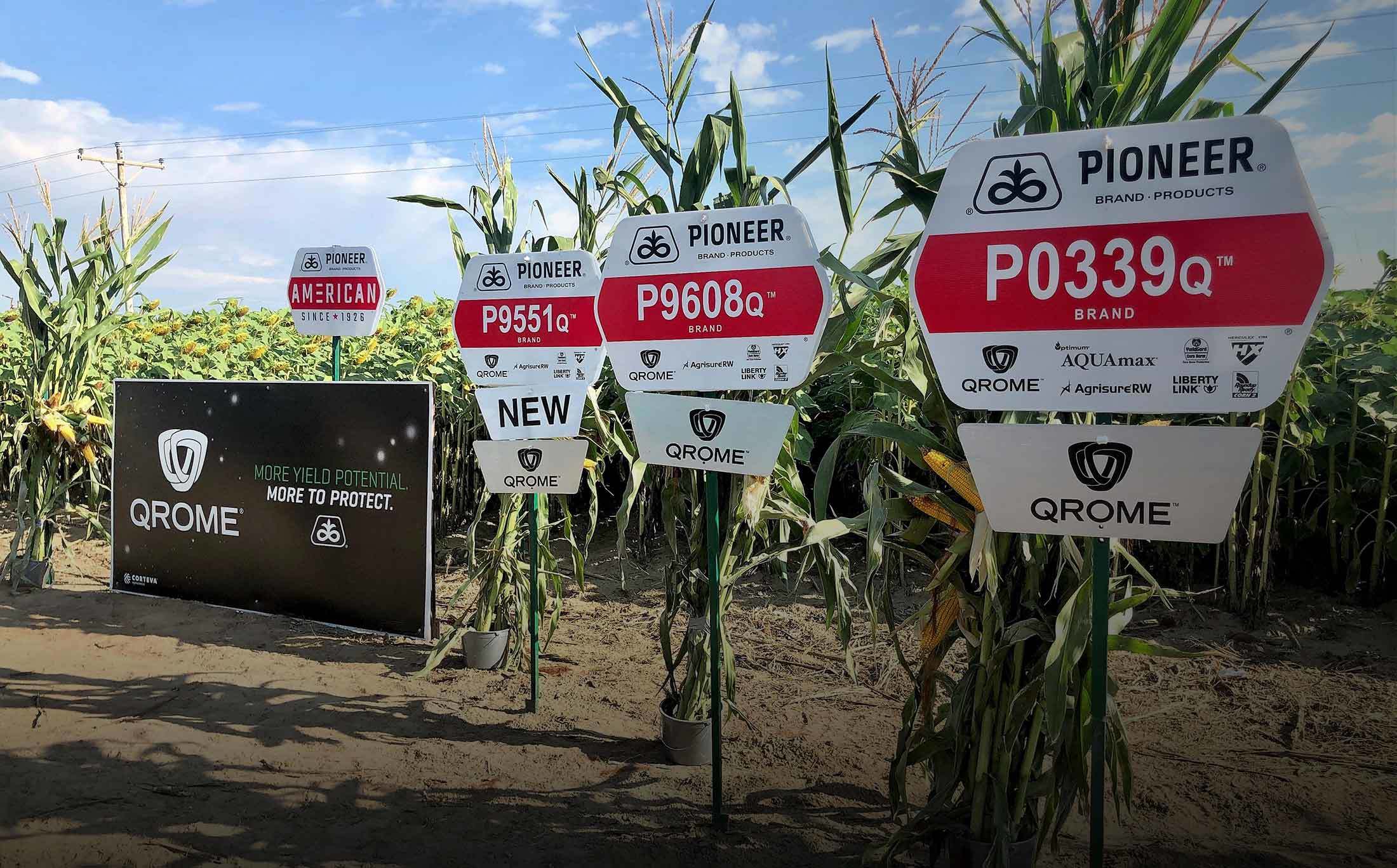 Header Prod C3 2020 25