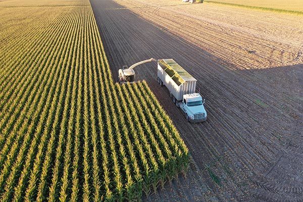 Inset 600x400 Harvest Corn DJI 0896