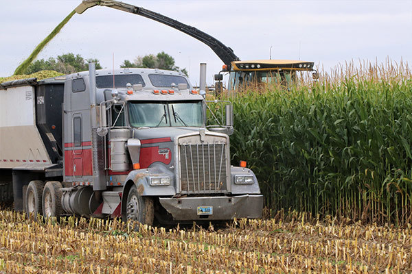 Inset Harvest 600x400 Silage