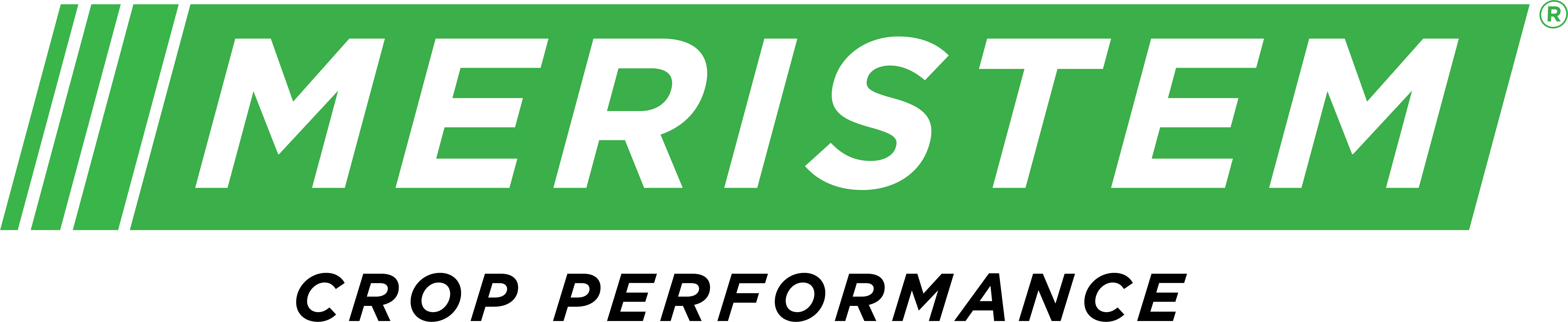 Meristem Logo transparent