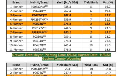 Pioneer Test Plot & Wind Trial 2024