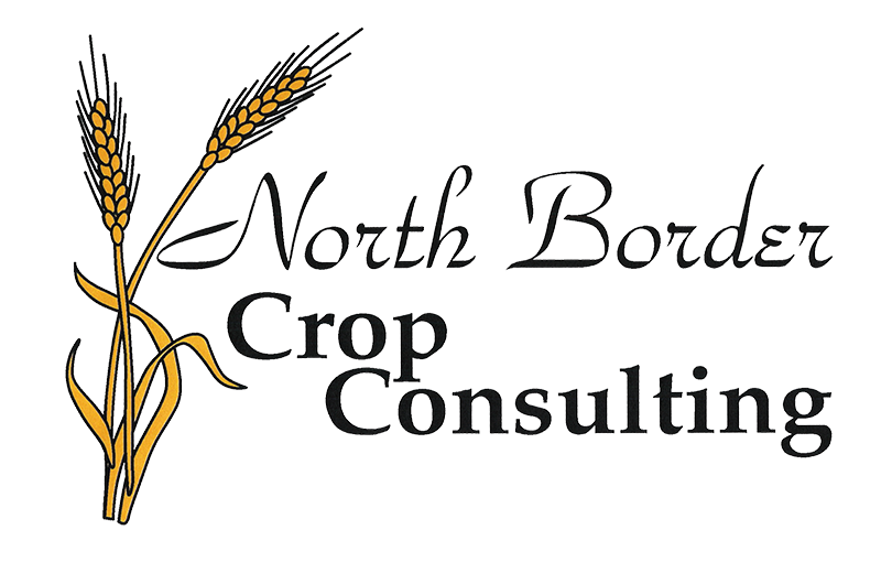 North Border Crop Consulting