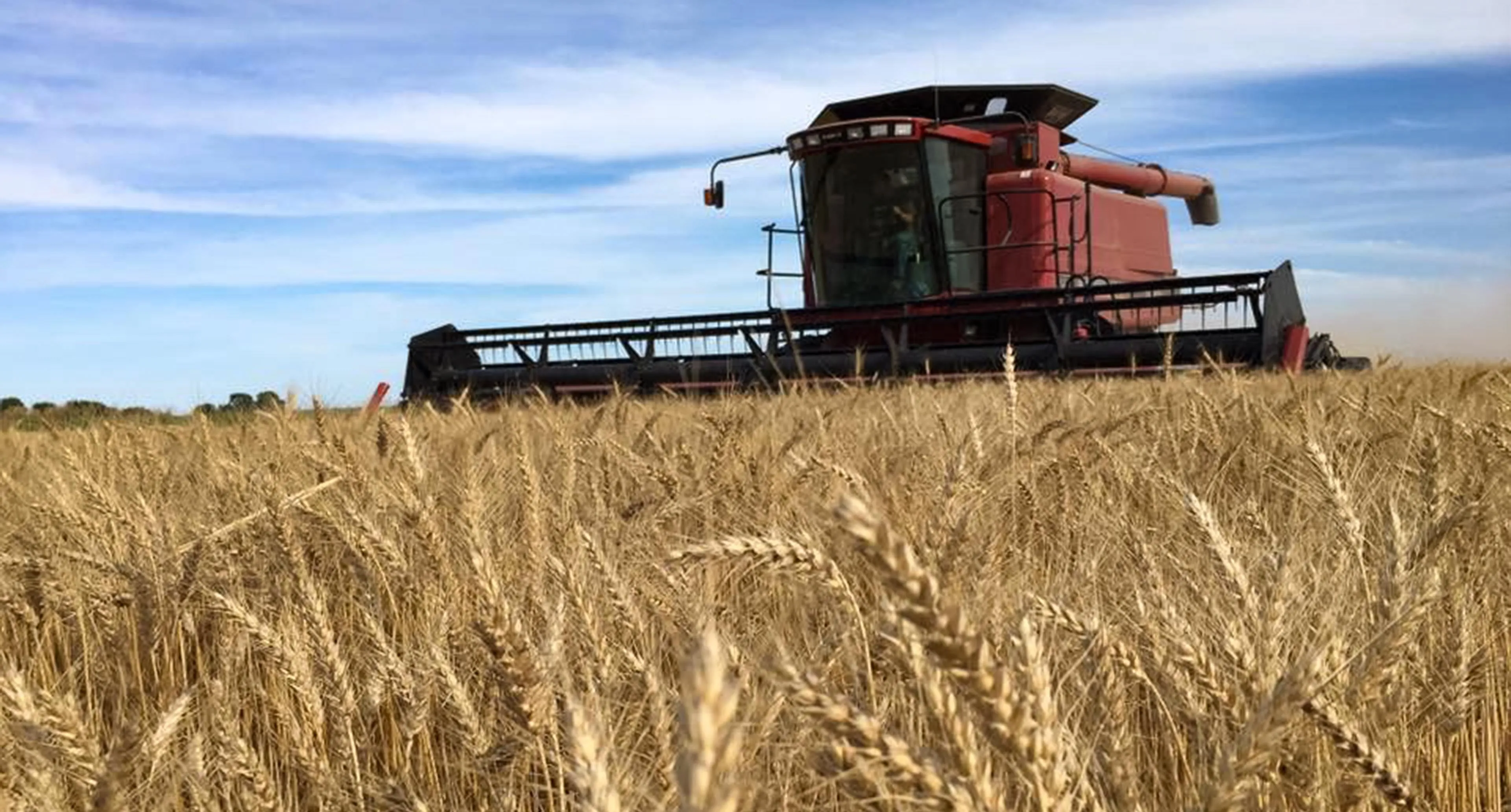 Saathoff header home