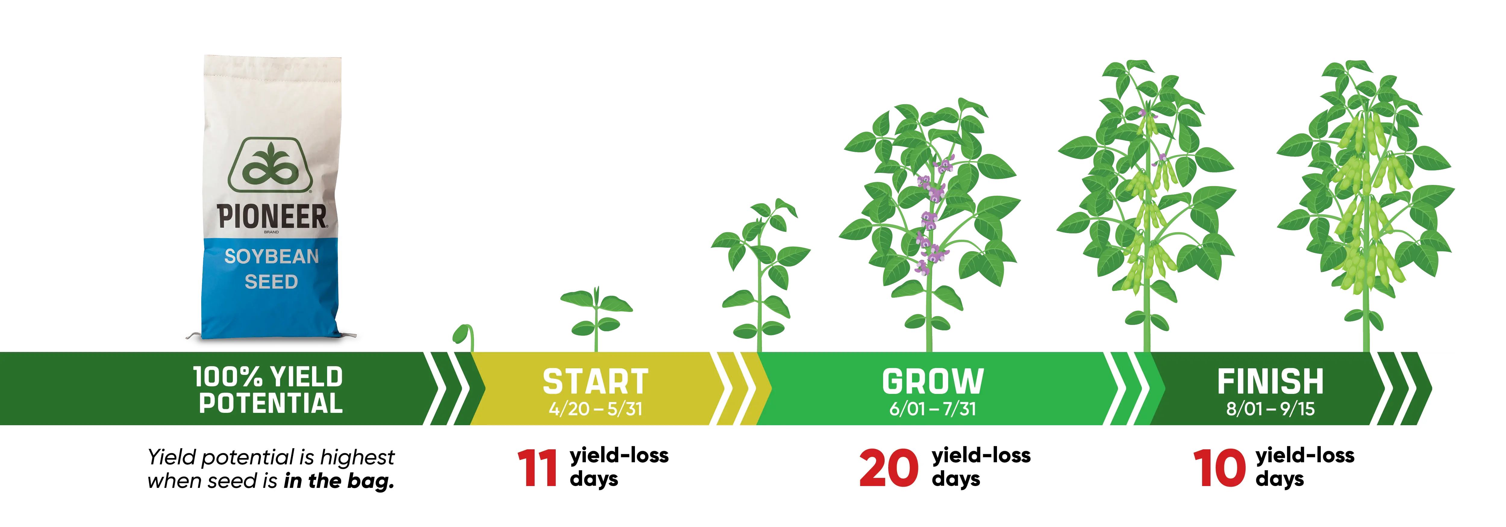 NEXTA Website Content Yield
