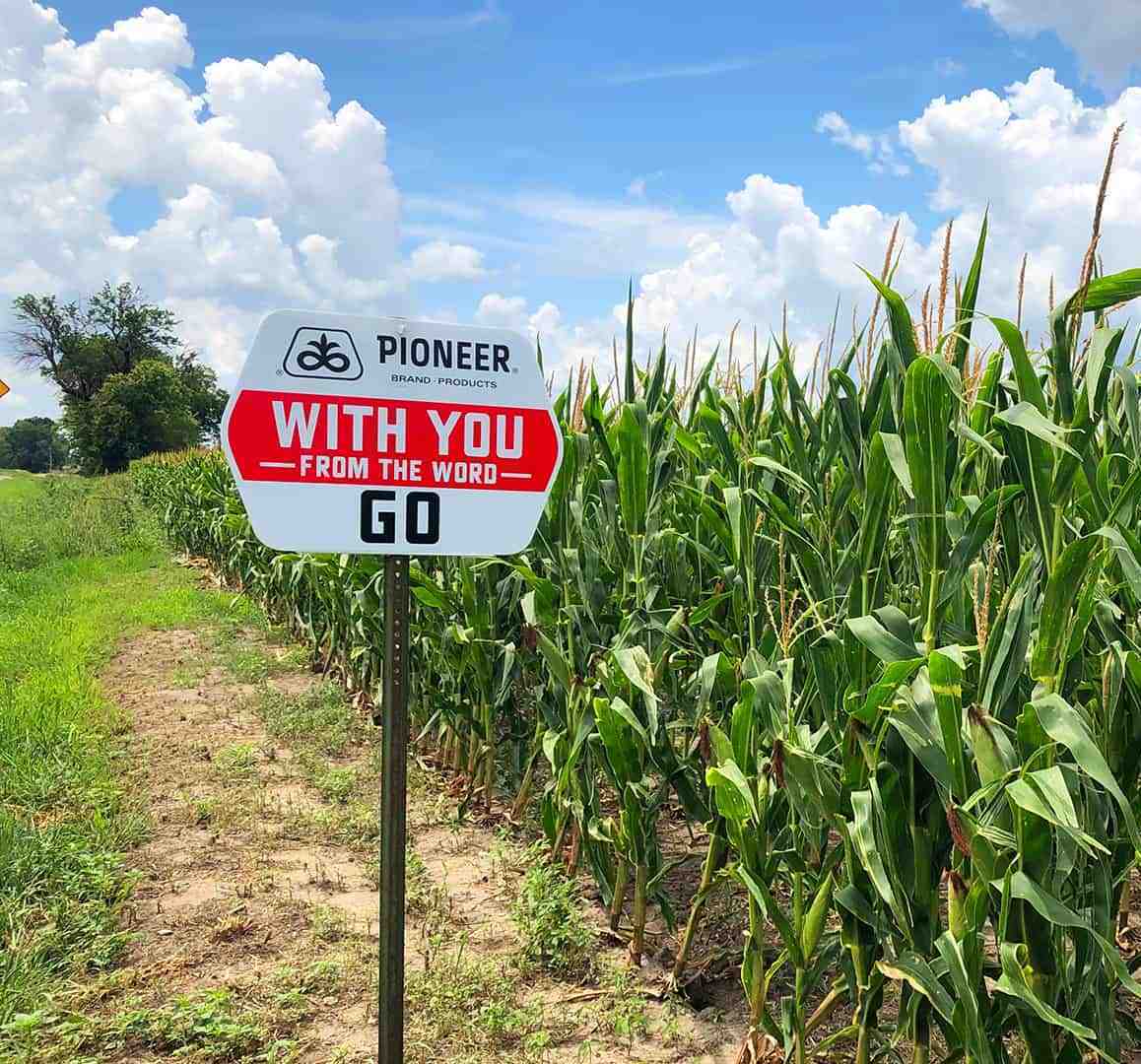 Corn sign IMG 9954v2