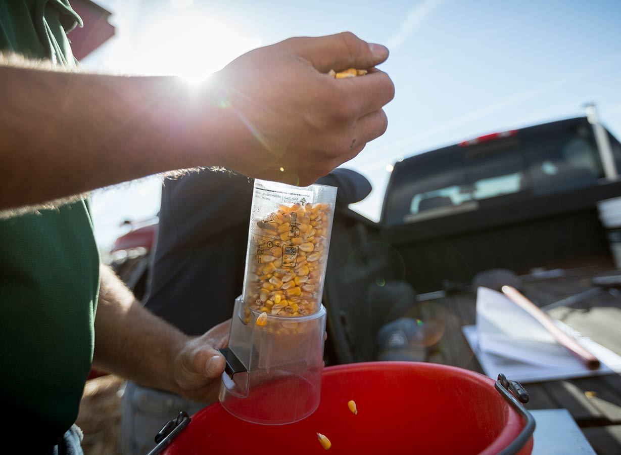 Inset2 Corn Harvest Minnesota C0295