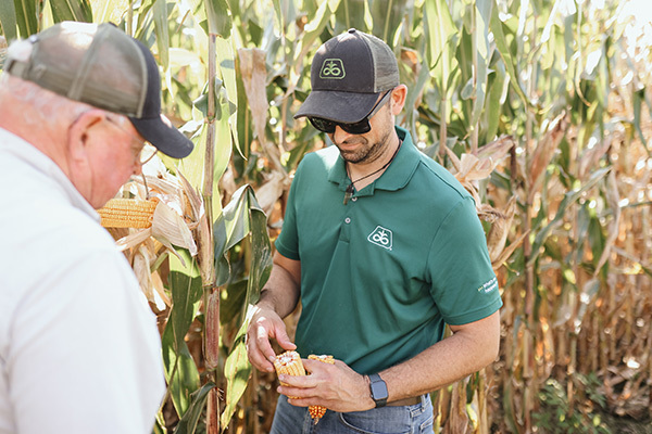 Better Field Solutions Inc. | Inset Yield Viewing Corn Cross Section