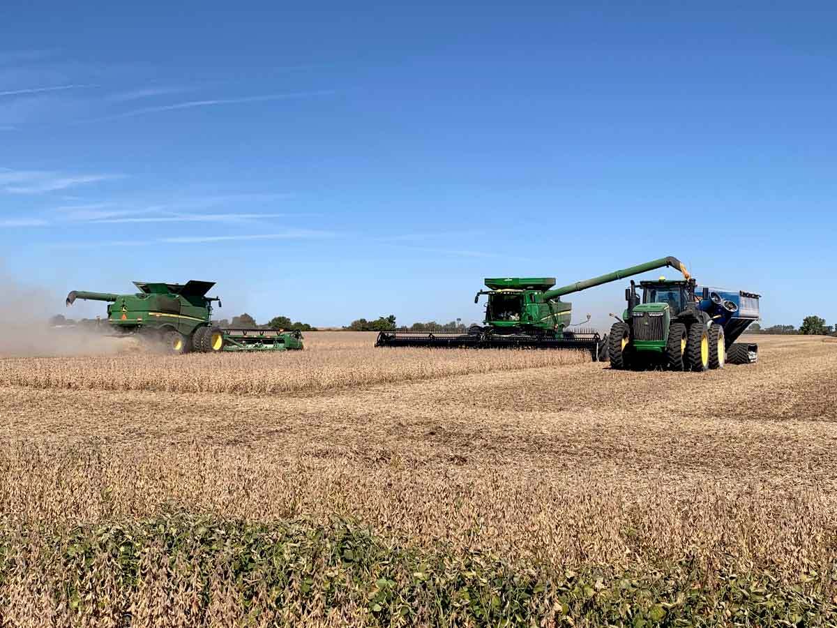 Inset Yield Porter Beans