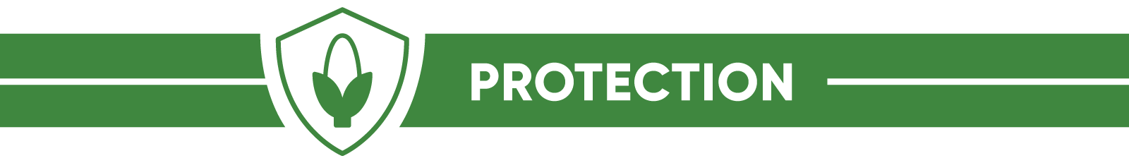 Protection Icon Txt