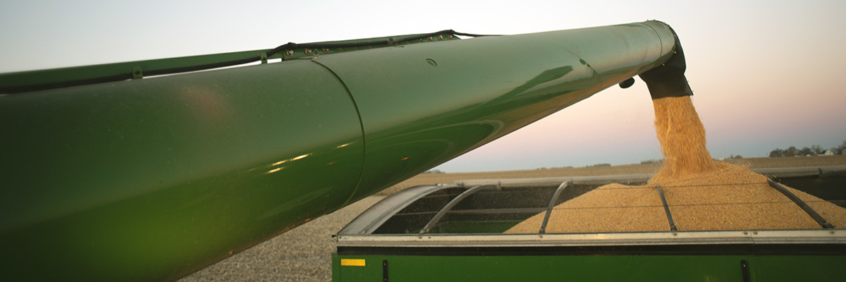 Emenheiser Crop Solutions | Header | Yield Corn Meservy Iowa