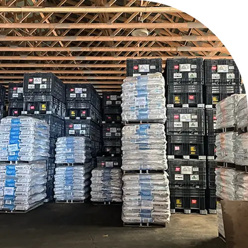 Hamill Brothers | Services Delivery