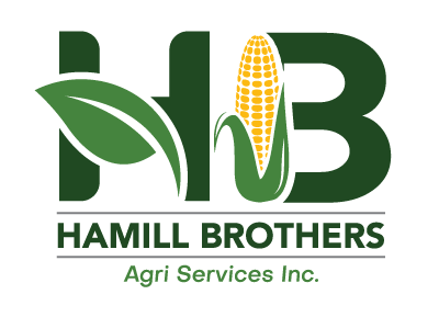 Hamill Brothers | Logo Outline