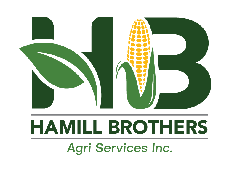 Hamill Brothers | Logo Outline 2