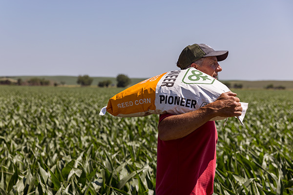 NVSS | Pioneer Corn Monroe Nebraska