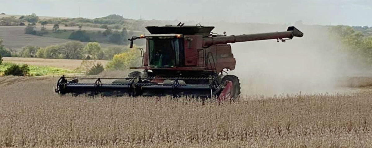 NVSS | Combine Harvesting Soybeans