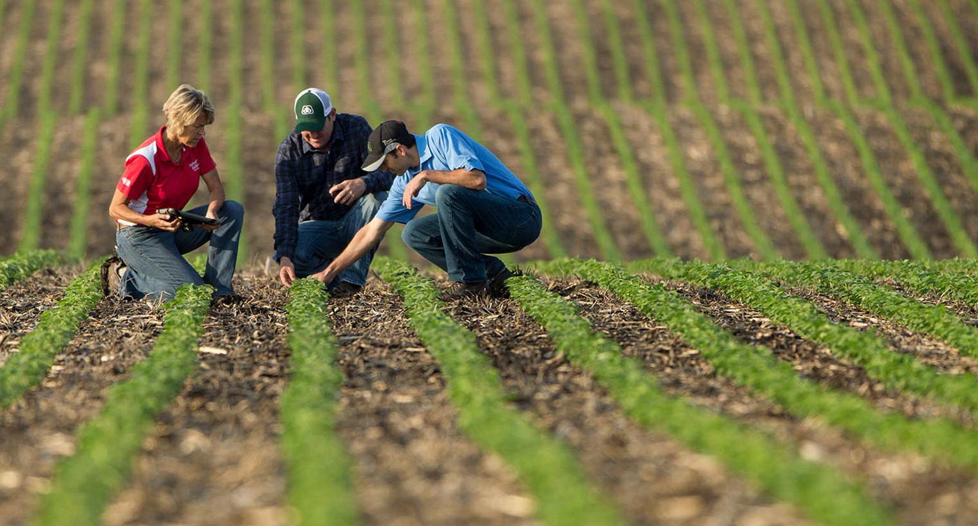 Header Soy Emergence 5510 F 1400x753