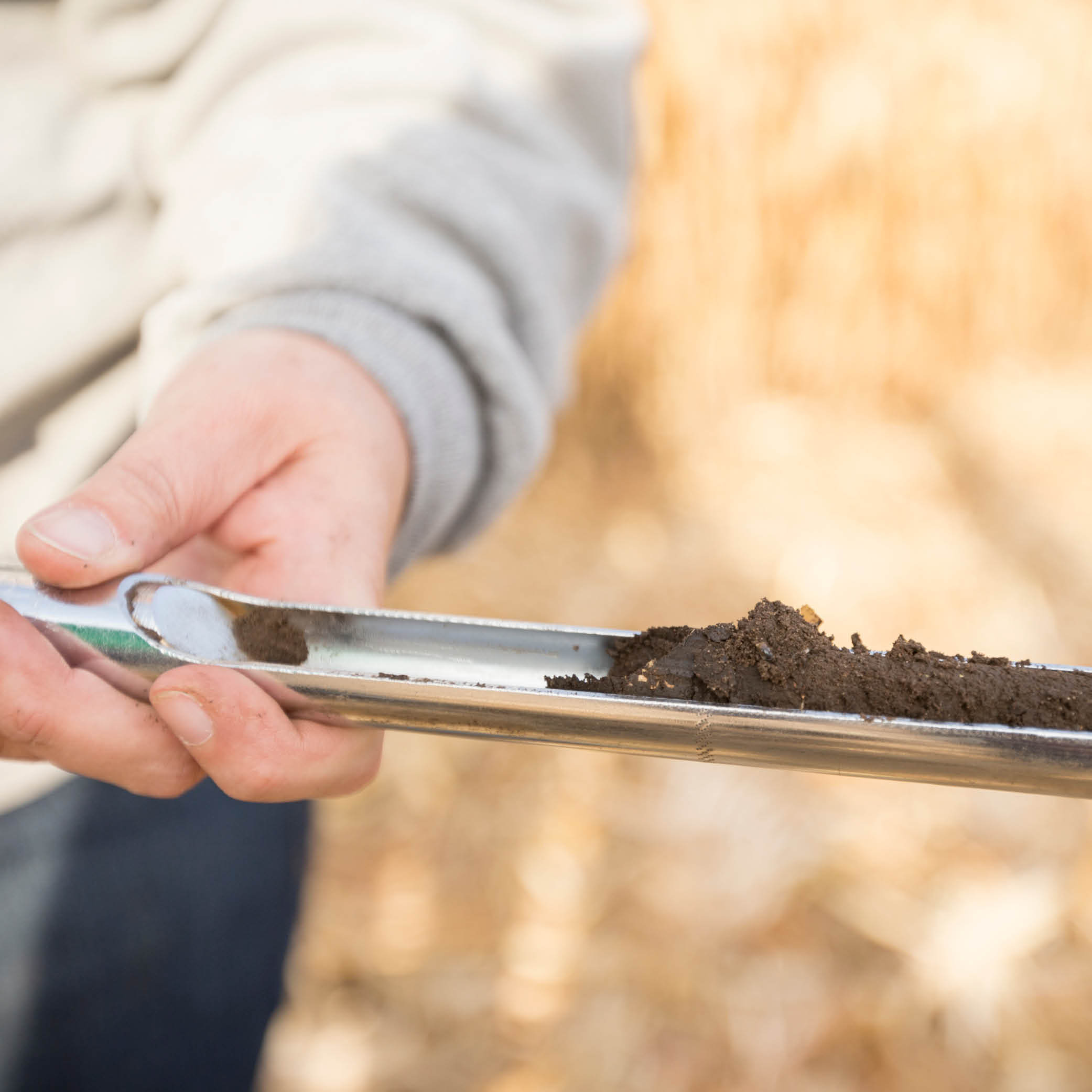 Services Soil Sampling