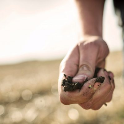 Harvest Analyzing