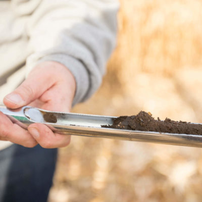 Soil Sampling