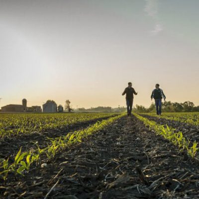 Nutrient Management Plans