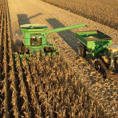 Pioneer® Brand Corn: 2020 Harvest Considerations in Central Iowa