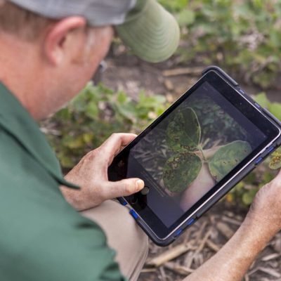 Crop Protection