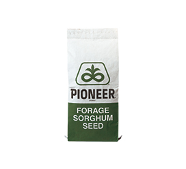 Forage Sorghum