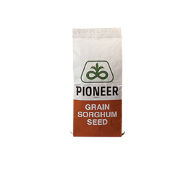 Grain Sorghum