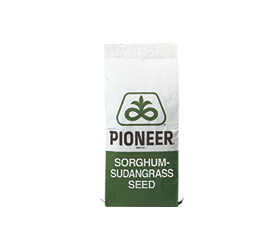 Sorghum Sudangrass