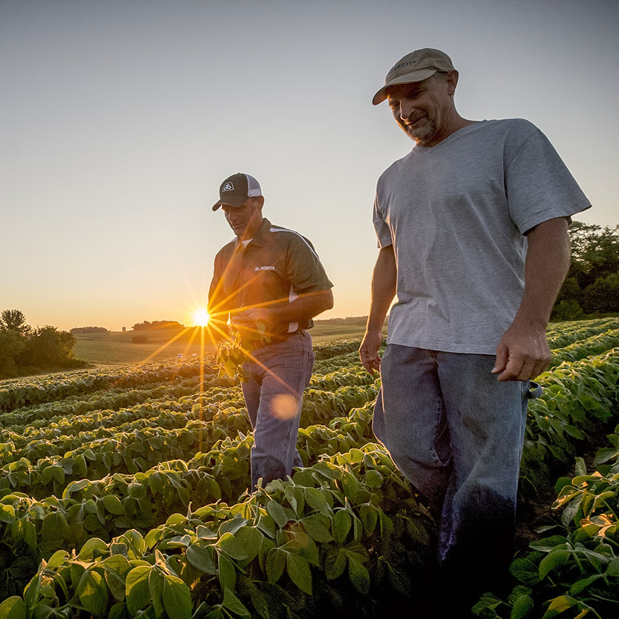 Platinum Ag | Pioneer Reps Walking A Field